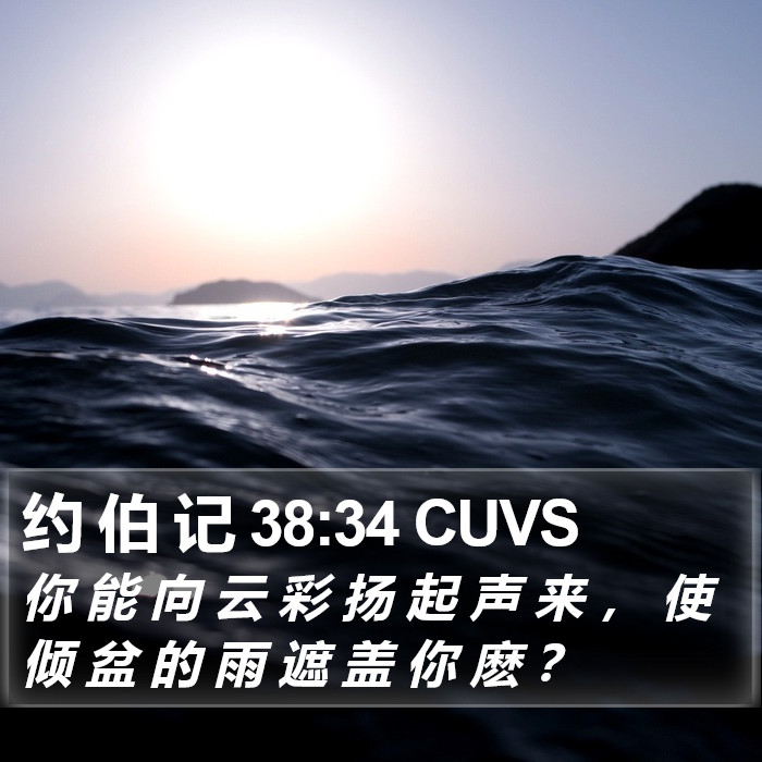 约 伯 记 38:34 CUVS Bible Study