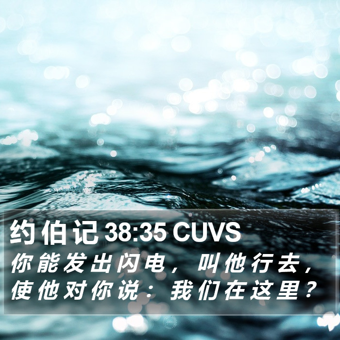 约 伯 记 38:35 CUVS Bible Study