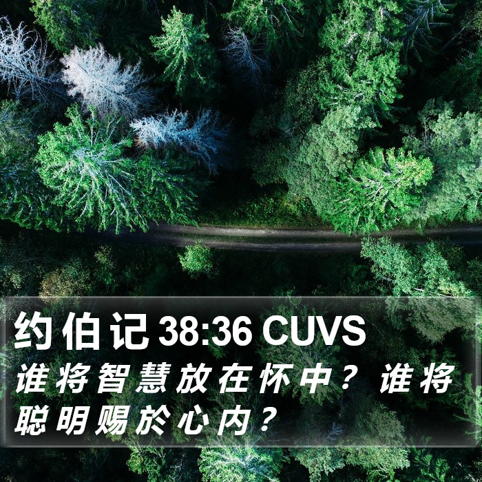 约 伯 记 38:36 CUVS Bible Study