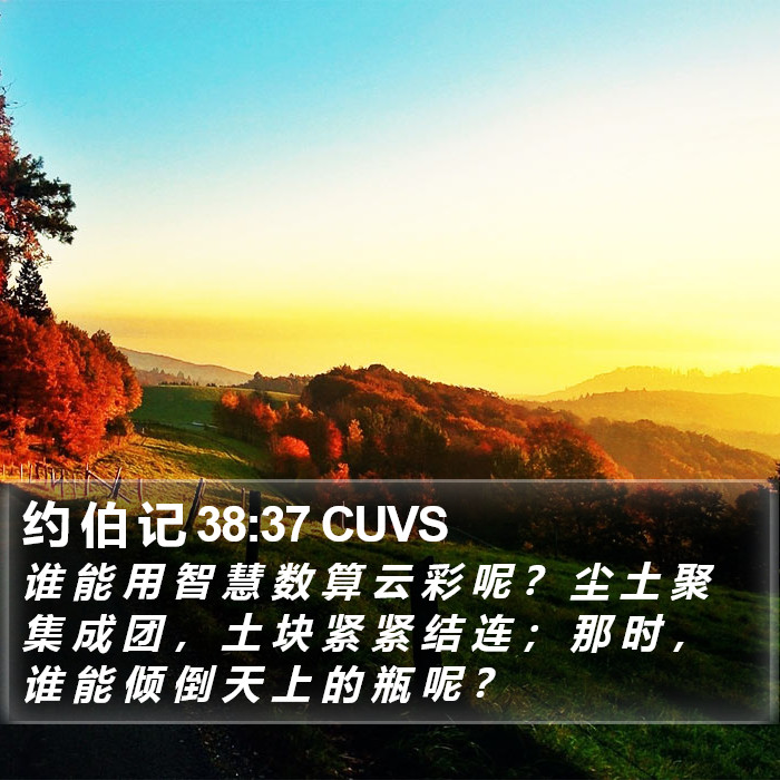 约 伯 记 38:37 CUVS Bible Study