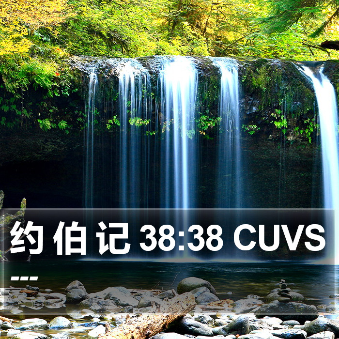 约 伯 记 38:38 CUVS Bible Study