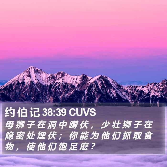 约 伯 记 38:39 CUVS Bible Study
