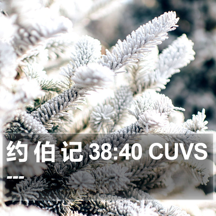 约 伯 记 38:40 CUVS Bible Study