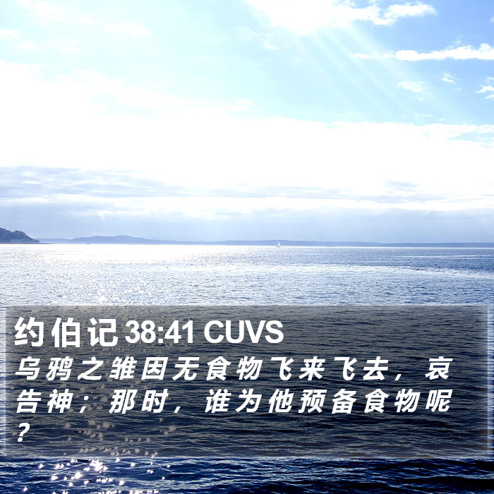约 伯 记 38:41 CUVS Bible Study