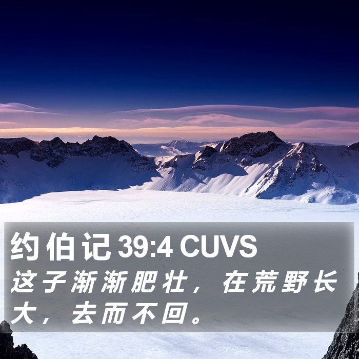 约 伯 记 39:4 CUVS Bible Study