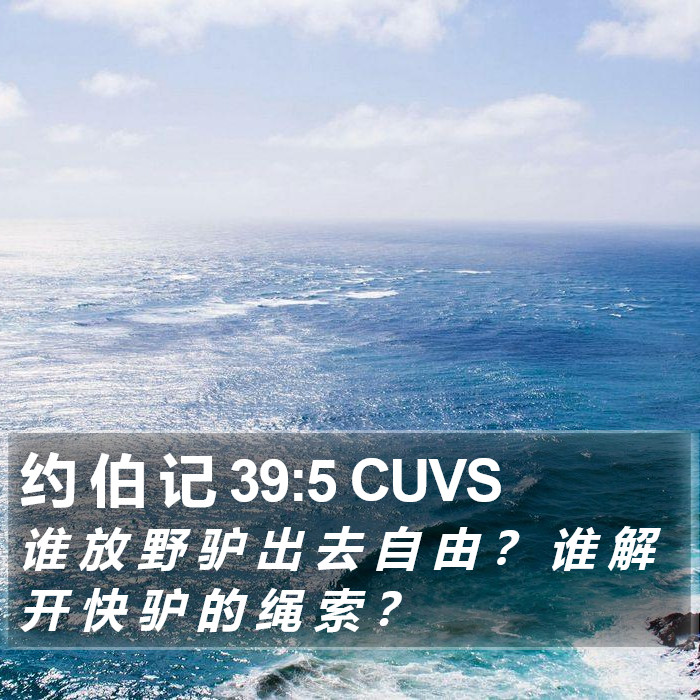 约 伯 记 39:5 CUVS Bible Study