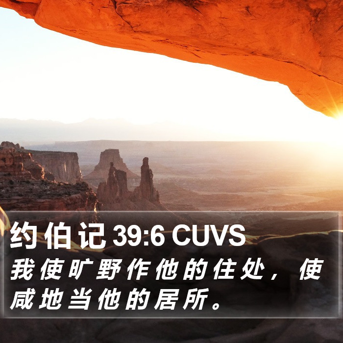 约 伯 记 39:6 CUVS Bible Study