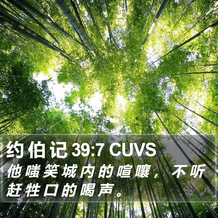 约 伯 记 39:7 CUVS Bible Study