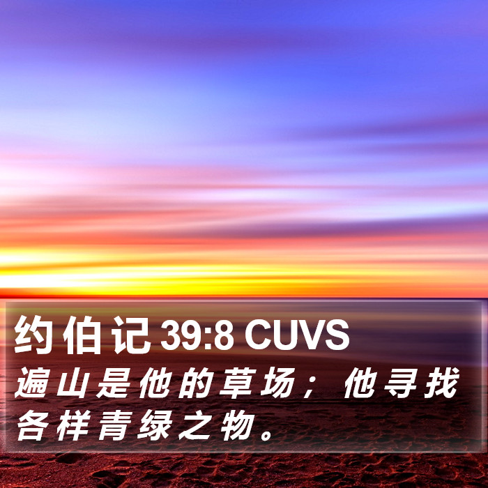 约 伯 记 39:8 CUVS Bible Study