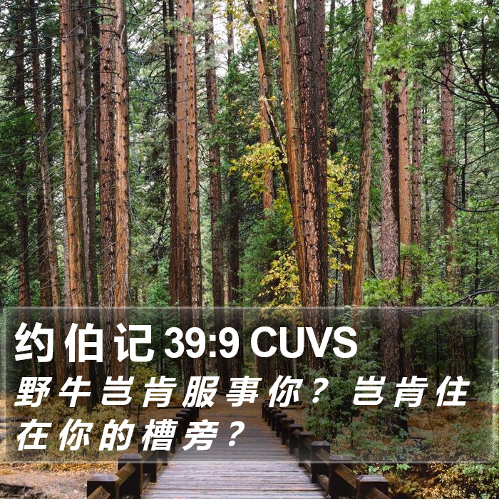 约 伯 记 39:9 CUVS Bible Study