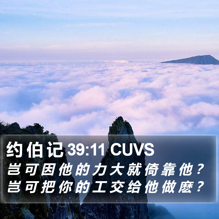 约 伯 记 39:11 CUVS Bible Study