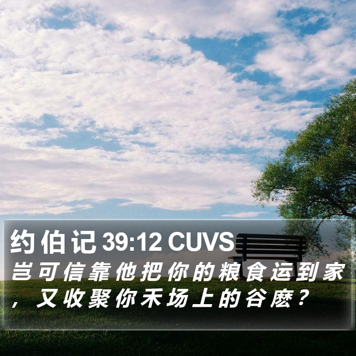 约 伯 记 39:12 CUVS Bible Study