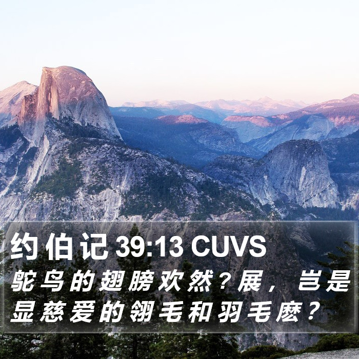 约 伯 记 39:13 CUVS Bible Study