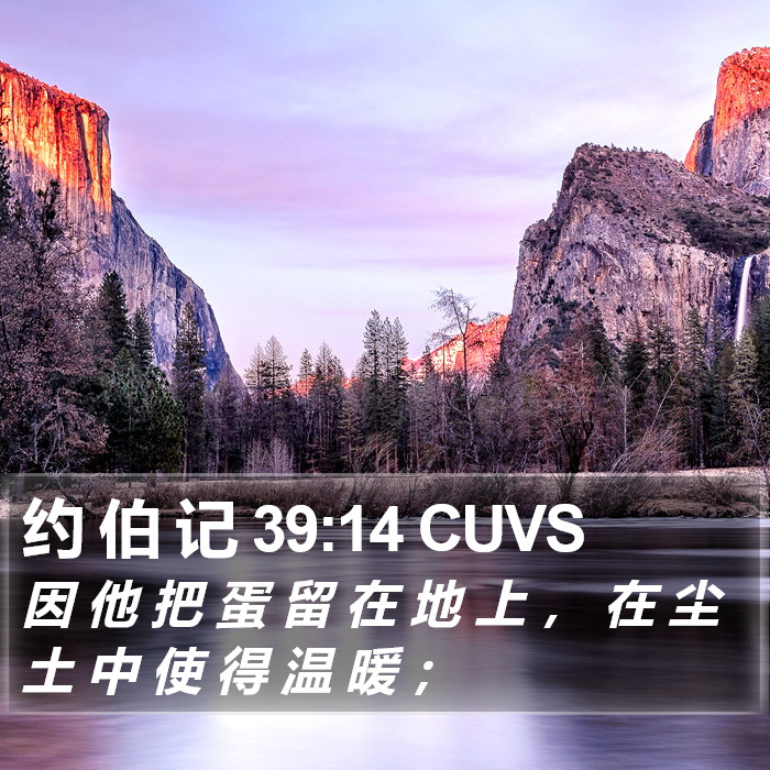 约 伯 记 39:14 CUVS Bible Study