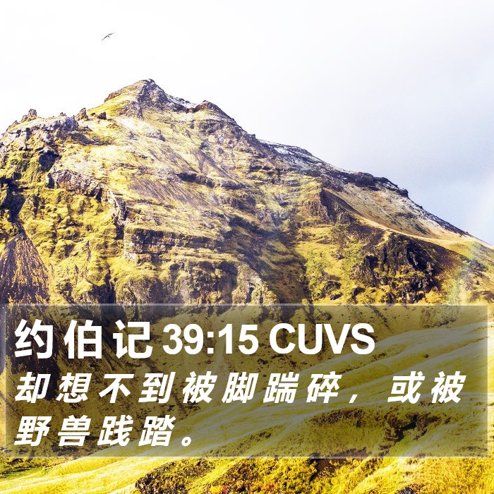 约 伯 记 39:15 CUVS Bible Study