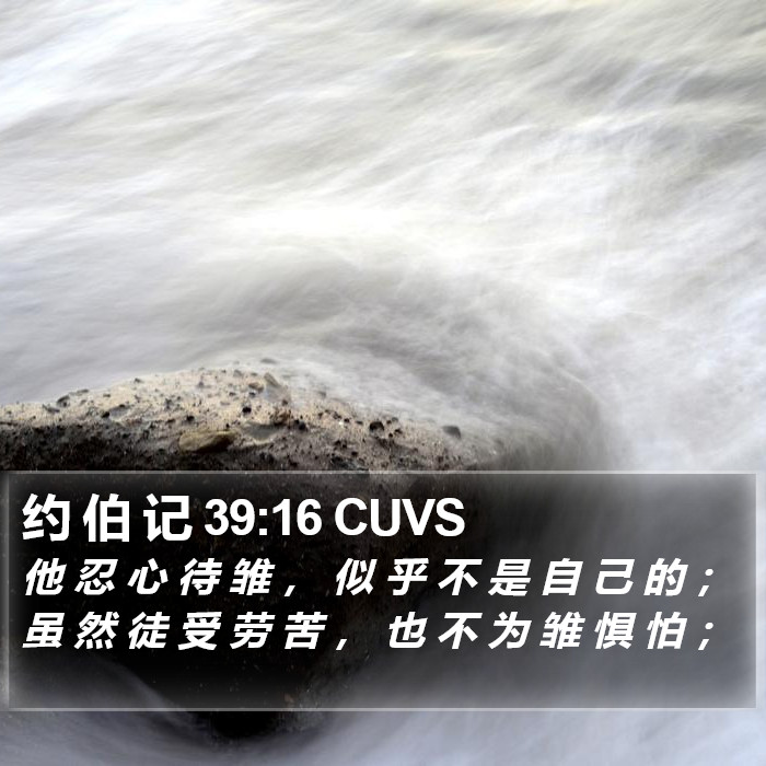 约 伯 记 39:16 CUVS Bible Study