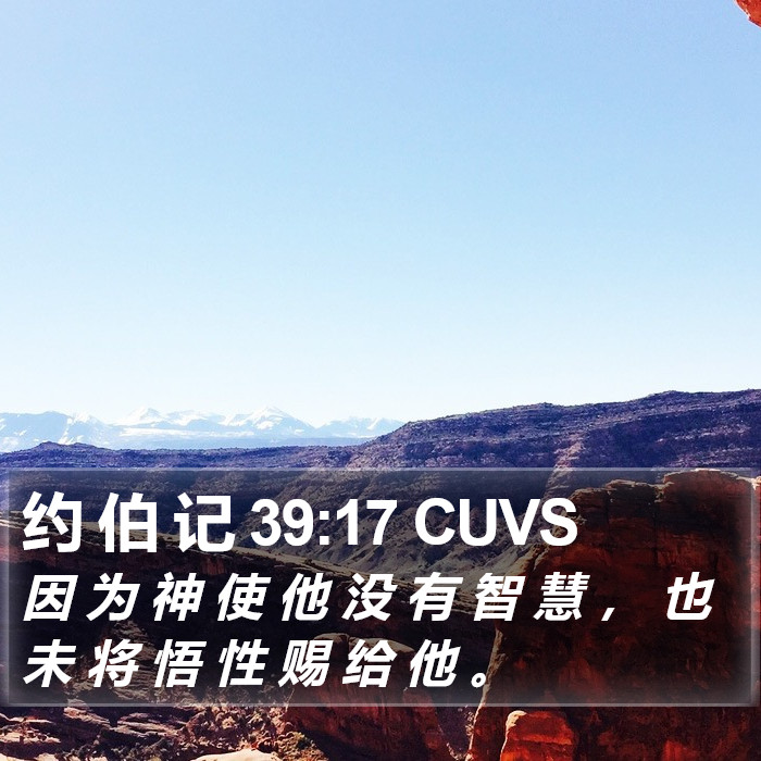 约 伯 记 39:17 CUVS Bible Study