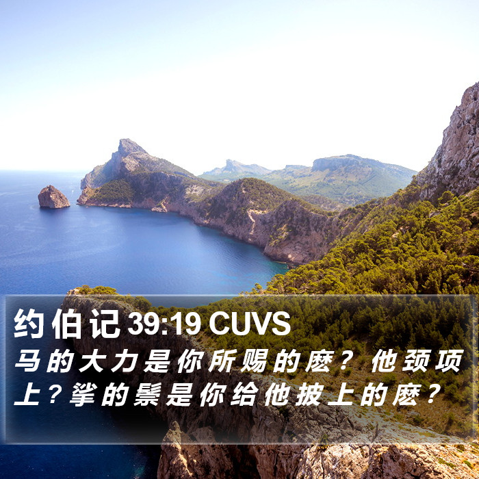 约 伯 记 39:19 CUVS Bible Study