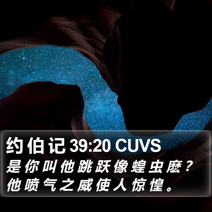 约 伯 记 39:20 CUVS Bible Study