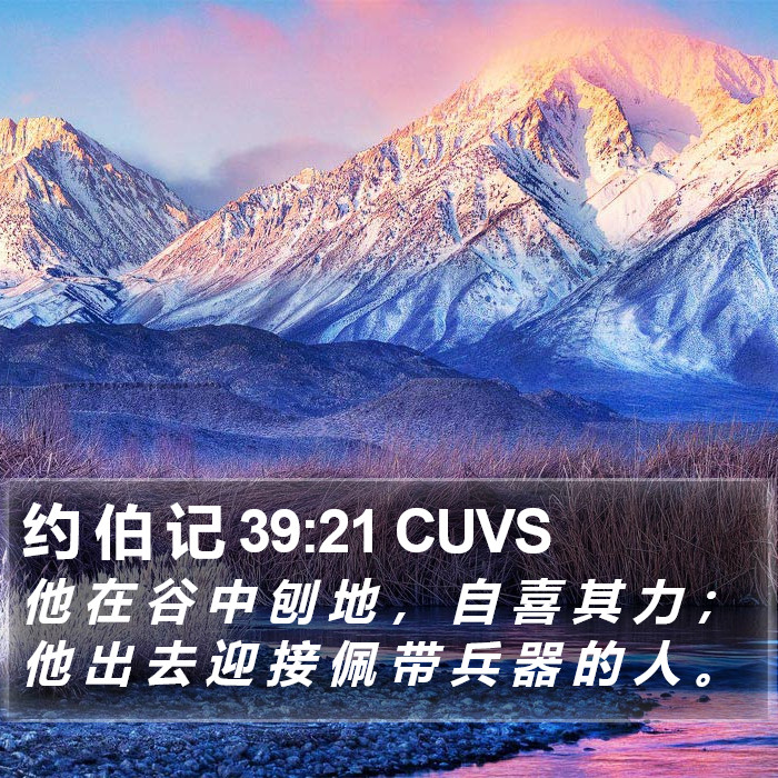 约 伯 记 39:21 CUVS Bible Study