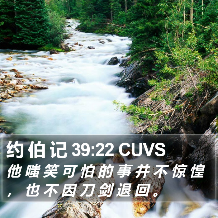 约 伯 记 39:22 CUVS Bible Study
