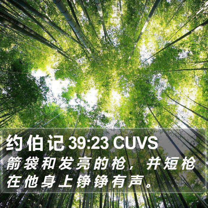 约 伯 记 39:23 CUVS Bible Study