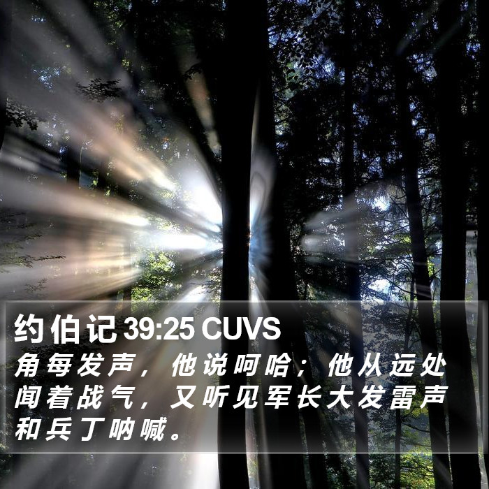 约 伯 记 39:25 CUVS Bible Study