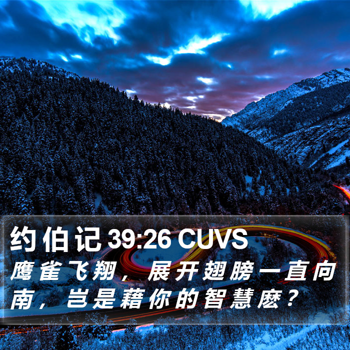 约 伯 记 39:26 CUVS Bible Study