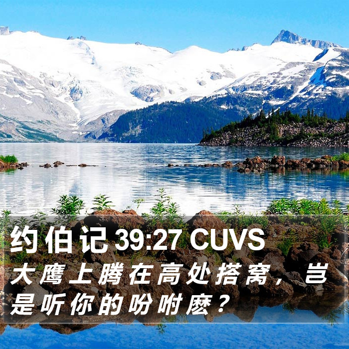 约 伯 记 39:27 CUVS Bible Study