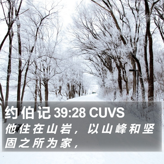 约 伯 记 39:28 CUVS Bible Study