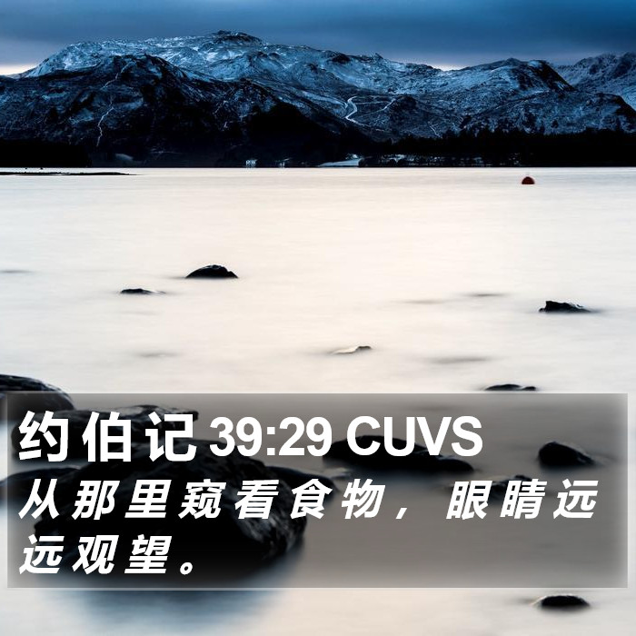 约 伯 记 39:29 CUVS Bible Study