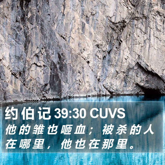 约 伯 记 39:30 CUVS Bible Study