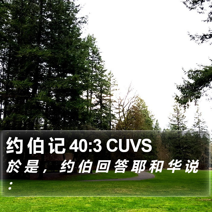 约 伯 记 40:3 CUVS Bible Study