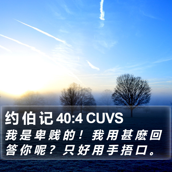 约 伯 记 40:4 CUVS Bible Study