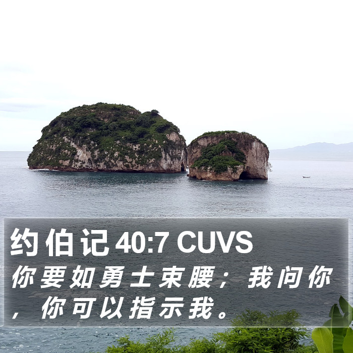 约 伯 记 40:7 CUVS Bible Study