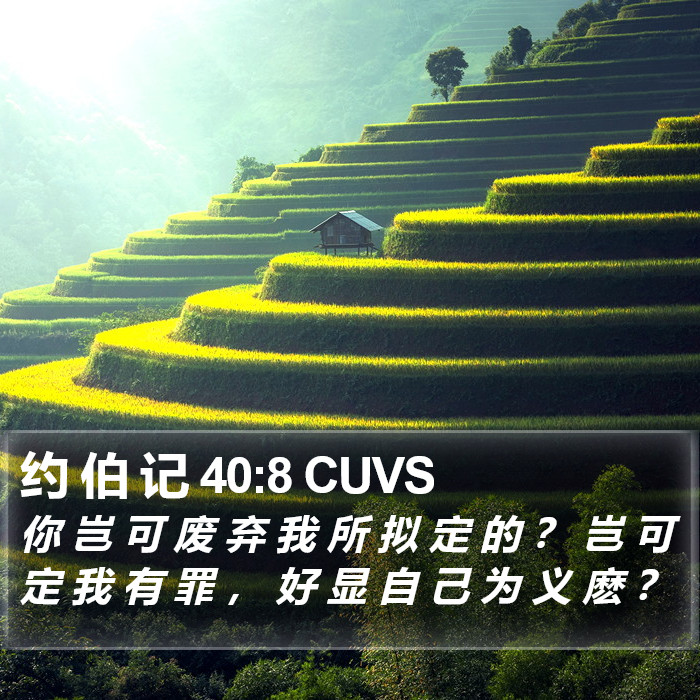 约 伯 记 40:8 CUVS Bible Study