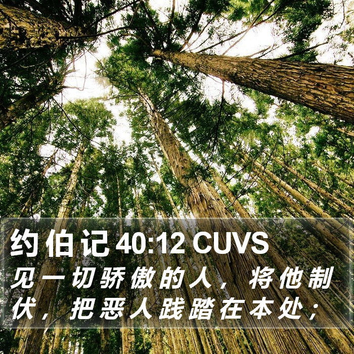 约 伯 记 40:12 CUVS Bible Study