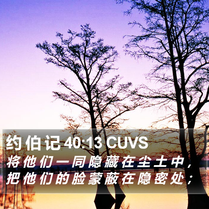 约 伯 记 40:13 CUVS Bible Study