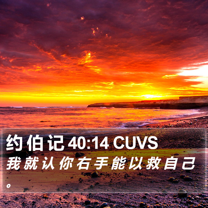 约 伯 记 40:14 CUVS Bible Study