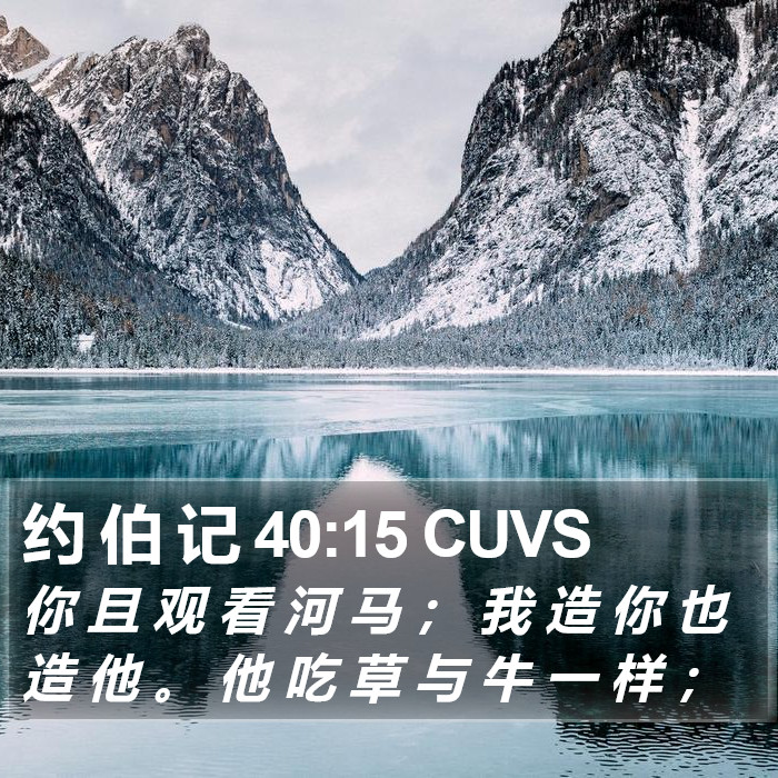 约 伯 记 40:15 CUVS Bible Study