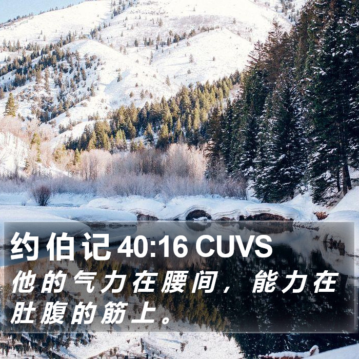 约 伯 记 40:16 CUVS Bible Study