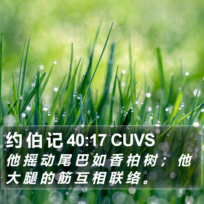 约 伯 记 40:17 CUVS Bible Study