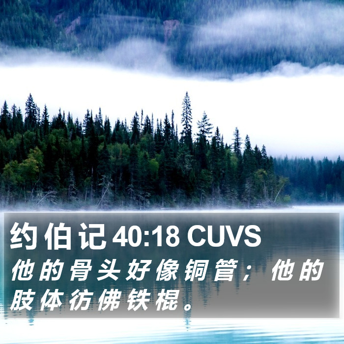 约 伯 记 40:18 CUVS Bible Study