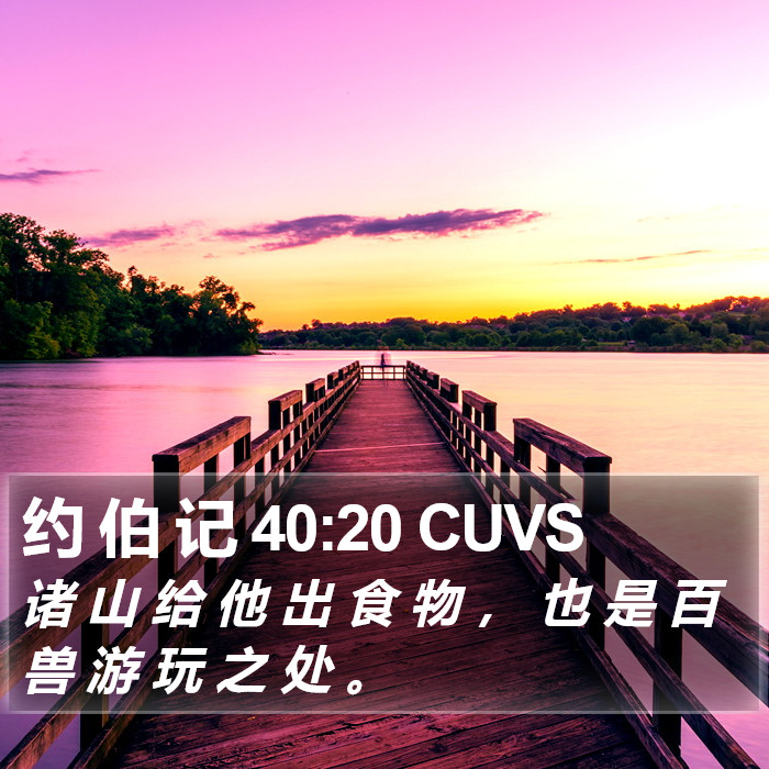 约 伯 记 40:20 CUVS Bible Study
