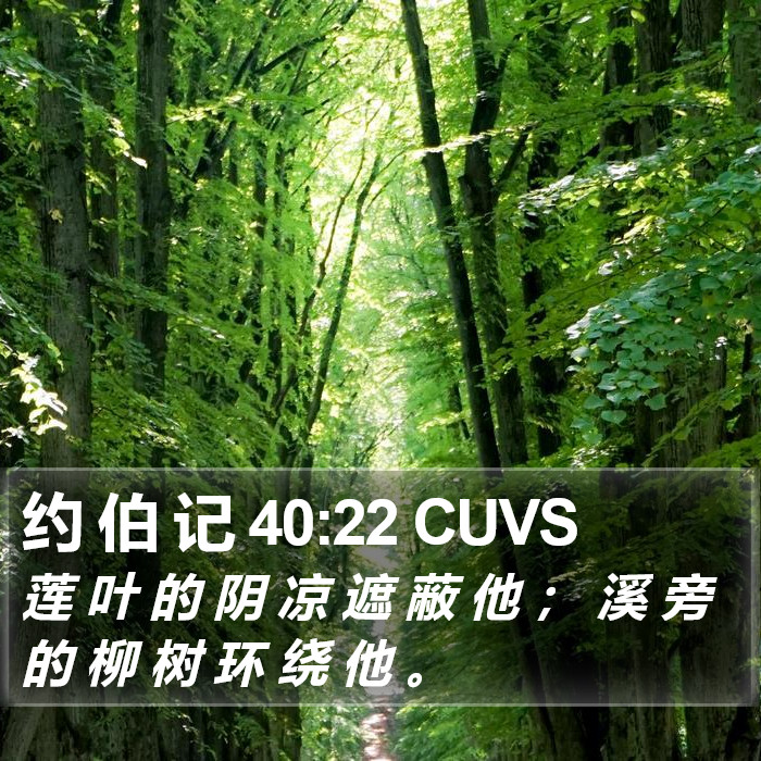 约 伯 记 40:22 CUVS Bible Study