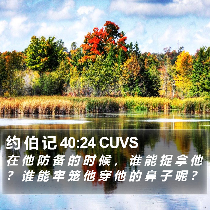 约 伯 记 40:24 CUVS Bible Study