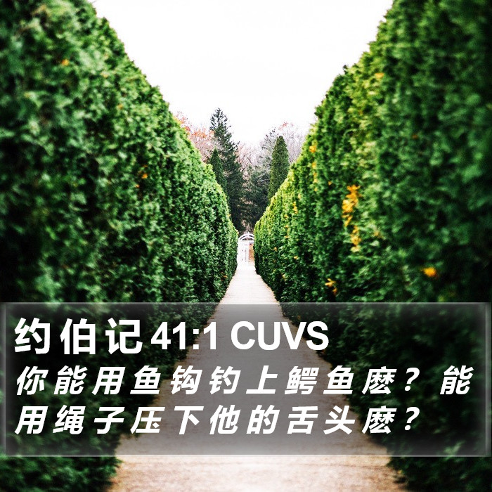 约 伯 记 41:1 CUVS Bible Study