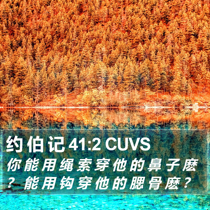 约 伯 记 41:2 CUVS Bible Study