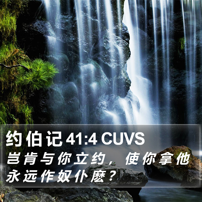 约 伯 记 41:4 CUVS Bible Study