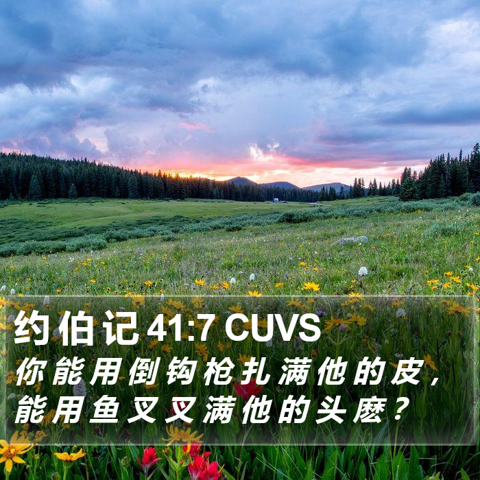 约 伯 记 41:7 CUVS Bible Study